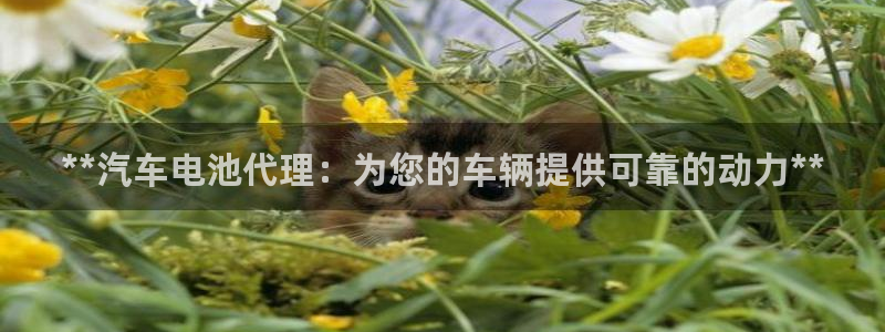优发国际随优而动一触即发