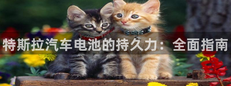 优发国际登陆