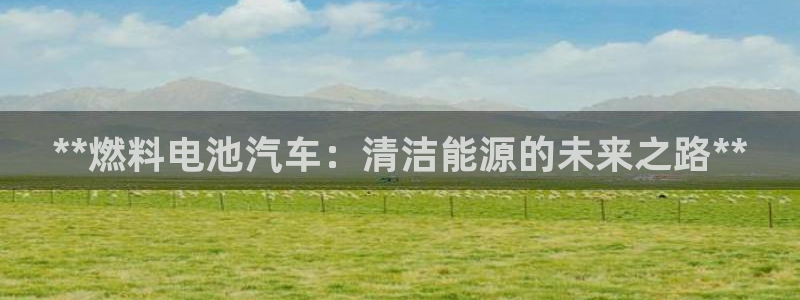 优发国际集团股份有限公司