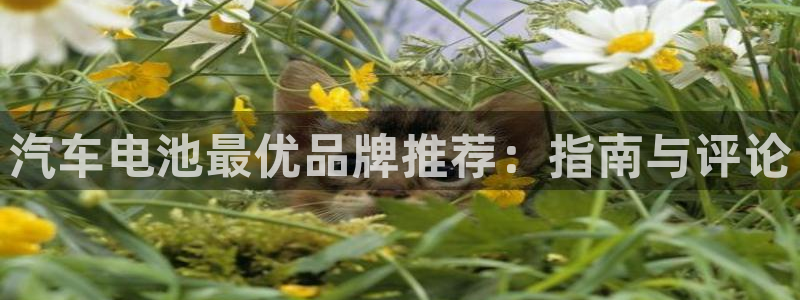 优发国际怎么样