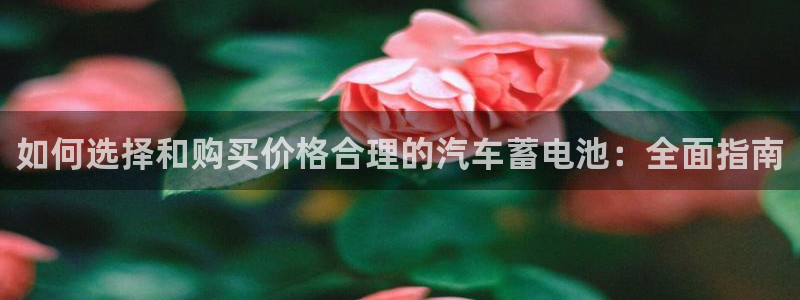 优发娱乐国际线上