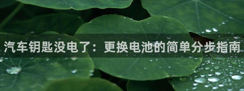 优发国际手机版网站