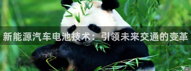 优发国际游戏17岁能玩吗