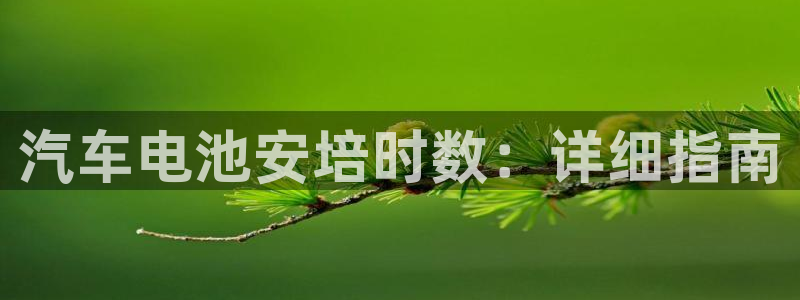 优发国际的官网是