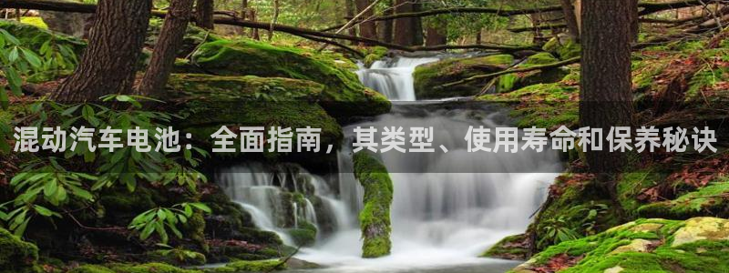 优发国际官网网站首页