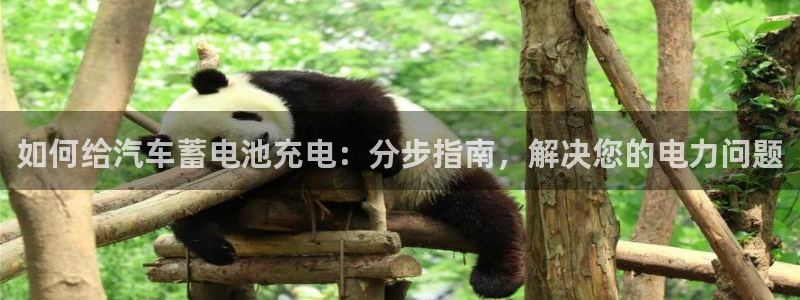 优发国际这个平台怎么样知乎