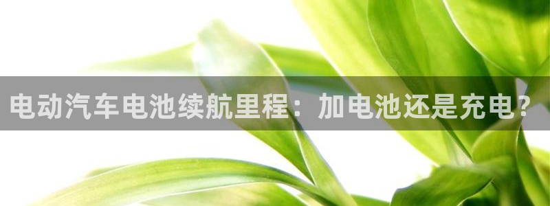 优发国际这个平台怎么样啊