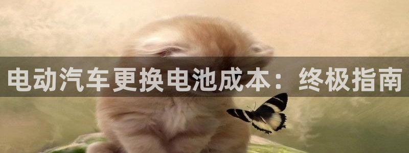 优发国际安卓版下载安装教程