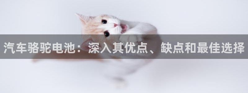优发国际的网站是