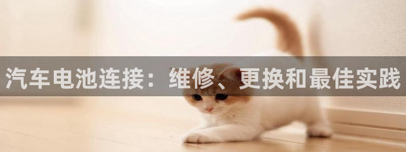 优发国际平台APP