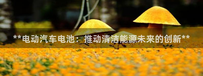 优发国际是合法的吗