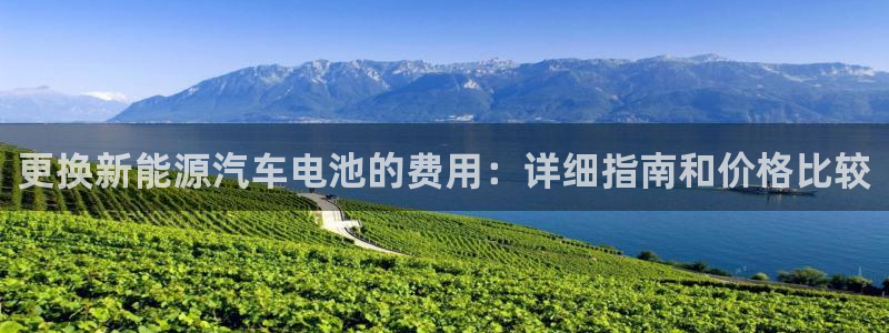 优发国际的网站是