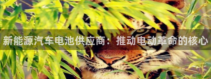 优发国际官网入口app下载安装