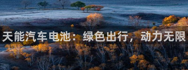 优发国际软件下载官网
