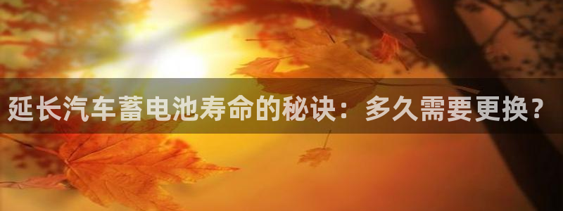 优发国际网站