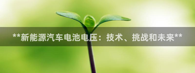 优发国际下载安装