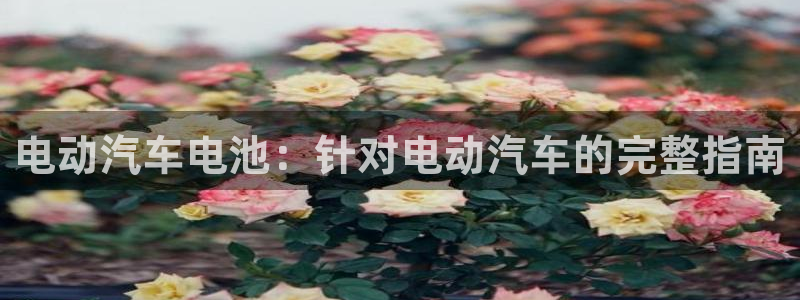 优发国际官方网手机版下载