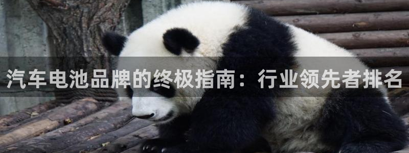 优发国际下载app