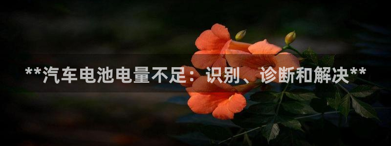 优发国际官网手机号
