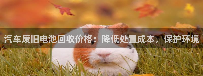 优发国际app登录