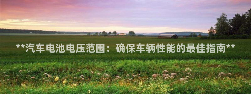 优发国际网站多少