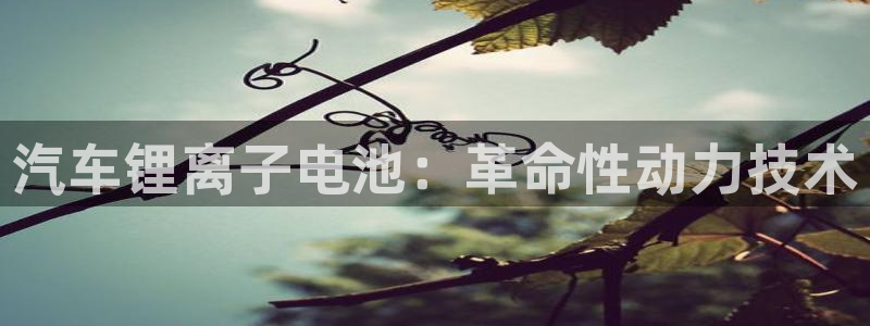 优发国际线上娱官网