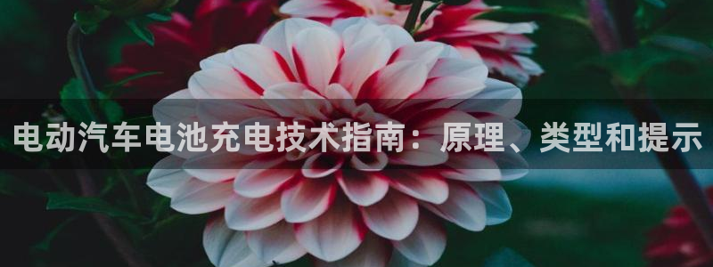 优发国际网站
