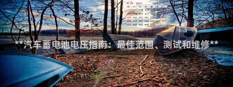 优发国际手机客户端怎么下载