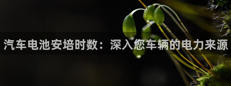 优发国际登陆
