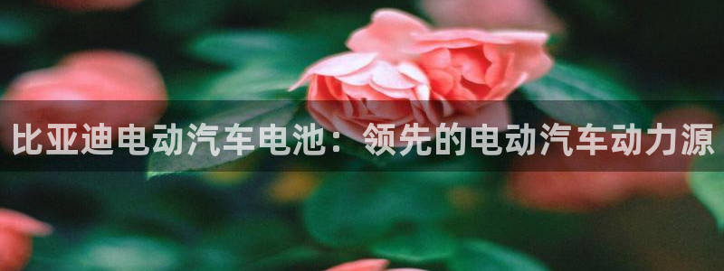 优发国际这个平台怎么样啊