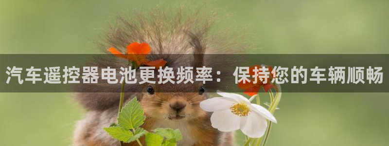 优发国际首页官网
