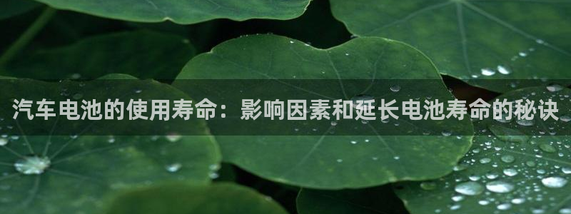 优发国际网官网17o8