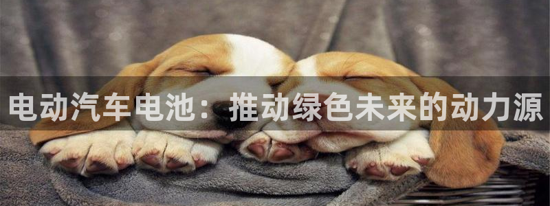 优发国际手机app下载安装官网