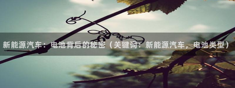 优发国际登录r8