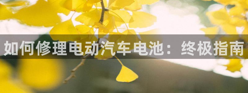 优发国际可以玩吗