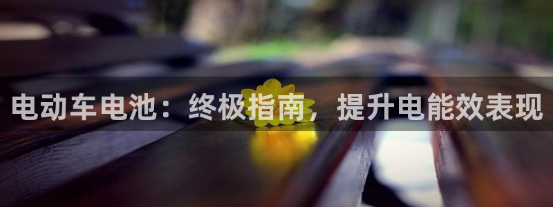 优发国际手机版下载安装