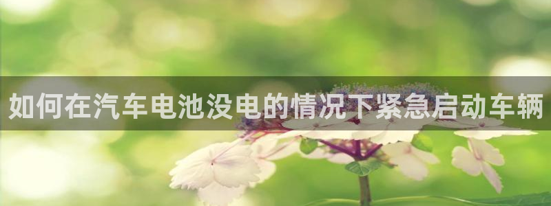 优发国际app官网下载安装苹果手机