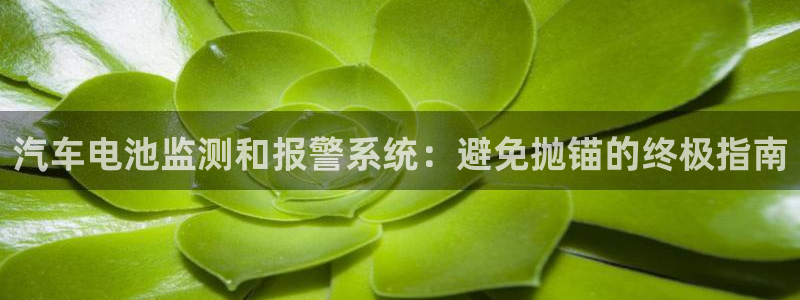 优发国际手机安装登录