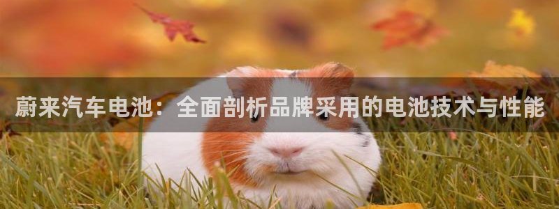 优发国际手机安装登录不了
