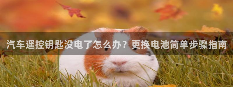 优发国际vip网址