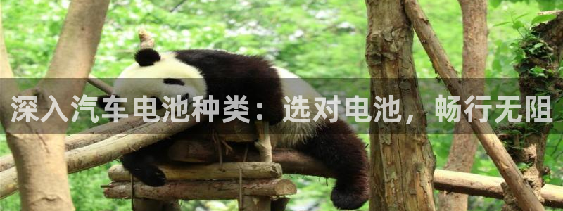 优发国际手机登录下载安装官网