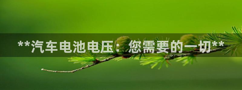 优发国际app官网下载安装