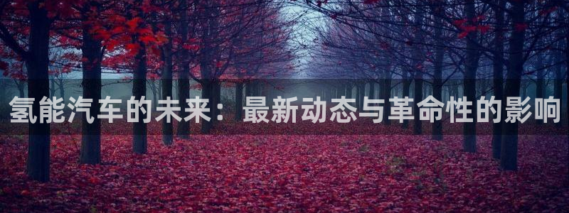 优发国际手机版官网下载
