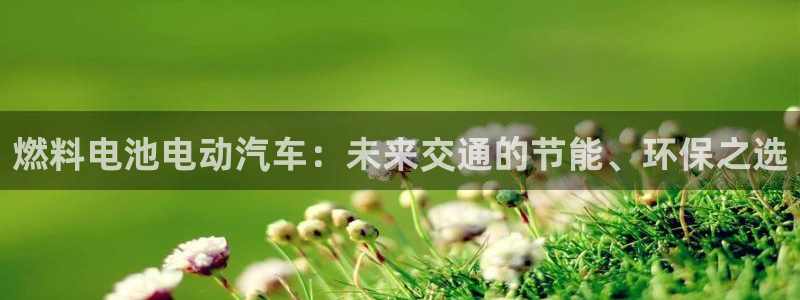 优发国际网官网17q8