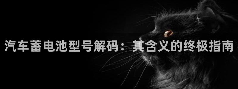 优发国际