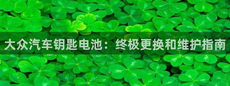 优发国际集团股份有限公司