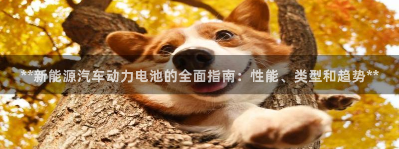 优发国际下载app