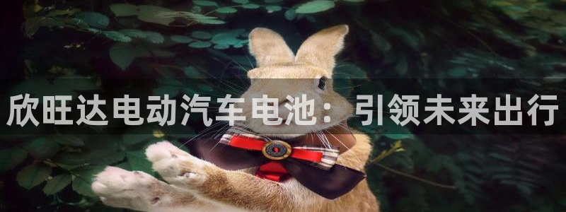 优发国际手机安装登录不了