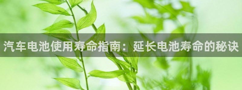 优发国际-触即发