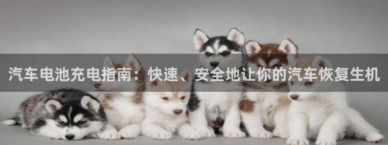 优发国际软件下载官网